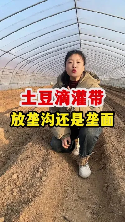 土豆滴灌带是放哪里合适#土豆高产种植 #土豆种植 @抖音小助手