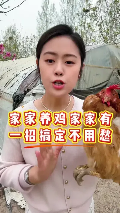 家家养鸡家家有，一招搞定不用愁 #养鸡#鸡病防治#科学养鸡#养鸡妙招#散养土鸡
