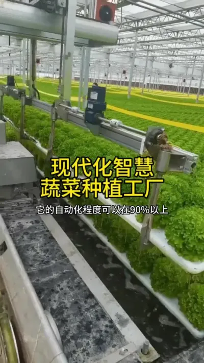 #无土栽培#蔬菜工厂#农业种植 #智慧农业#水培
现代智慧蔬菜种植工厂