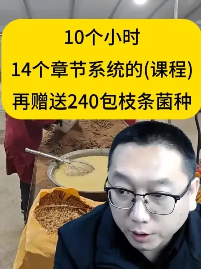 平菇种植技术课程，10小时14章节，再赠送240包枝条菌种或者480包棉壳菌种，来店铺看看吧！#平菇种植 #平菇菌种 #技术课程 #平菇技术