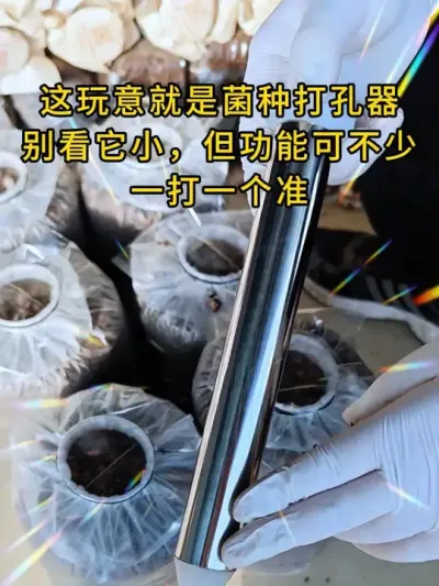 这玩意就是菌种打孔器。别看它小但功能可不少，再也不用担心发菌速度慢。#平菇种植 #打孔器 #菌种打孔器