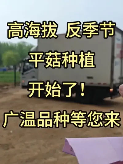 高海拔反季节平菇种植已经开始了，订购广温品种的枝条菌种和棉壳菌种，请联系我们哦#平菇种植 #平菇菌种 #食用菌栽培种 #栽培种