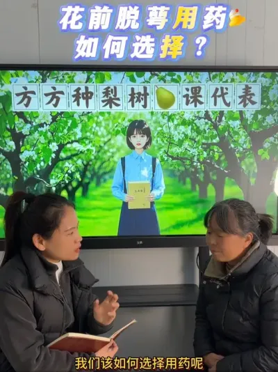 今天换个方式跟大家讲讲花前脱萼的用药选择，王老师从事果树植保工作三十多年的经验了，特别是对梨树植保特别有经验，也是我非常尊敬的一位对专业非常严谨的老师，大家有其他问题也可以私信我，我们换一种方式来跟大