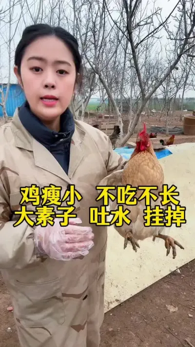 #鸡鸭鹅养殖 #养鸡人 #养殖小妙招 #科学养鸡 #鸡病防治