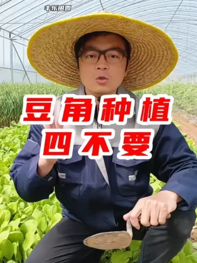 豆角种植四不要 #豆角种植 #种植小技巧 #蔬菜种植 #在家种菜 #抖音助农