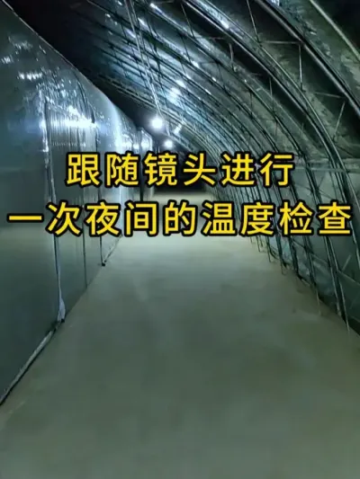 平菇种植，我们做菌种，每天早中晚都要进行温度检查，需要优质菌种的老板可以联系我。#平菇种植 #平菇菌种 #食用菌栽培种 #栽培种