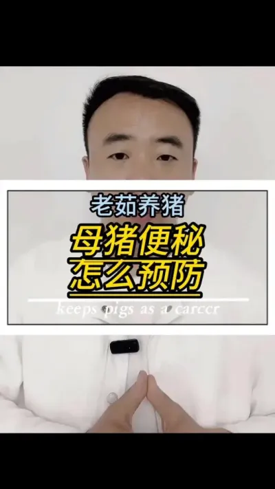 母猪便秘问题可小可大，一定注意防范。#好物推荐🔥 #所有养猪人 #母猪#创作灵感