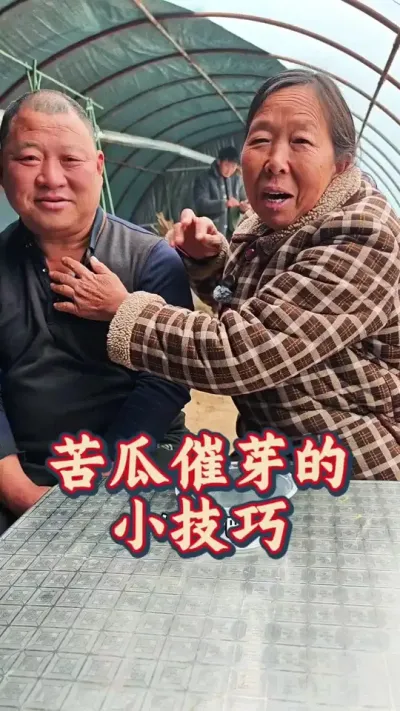 苦瓜怎么催芽出的快 苦瓜怎么催芽出的快#苦瓜种植 #蔬菜种植 #每天分享蔬菜种植技巧 #生菜杨姐 @DOU+小助手