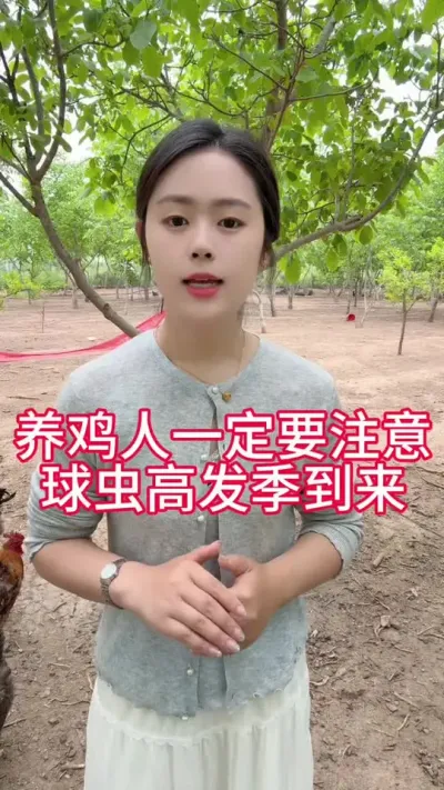 养鸡人一定要注意球虫高发季就要到来#科学养鸡 #鸡鸭鹅养殖 #服务三农支持三农 #养鸡人 #抖音养鸡人