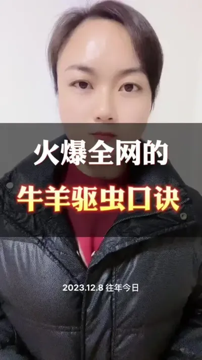 给牛羊驱虫口诀#养殖户 #西门塔尔育肥牛 #科学养殖 #西门塔尔母牛 #自繁自养
