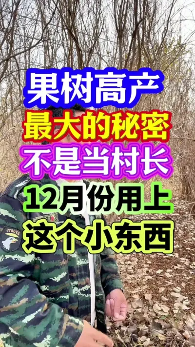 #果树种植 #花芽分化 #柑橘花芽分化 #分享农业知识帮农民增产增收 #抖音助农