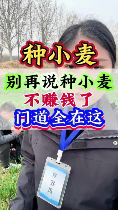 别再说种小麦不赚钱了，门道全在这#小麦种植 #小麦管理 #小麦 #小麦种植管理技术 #病虫害防治