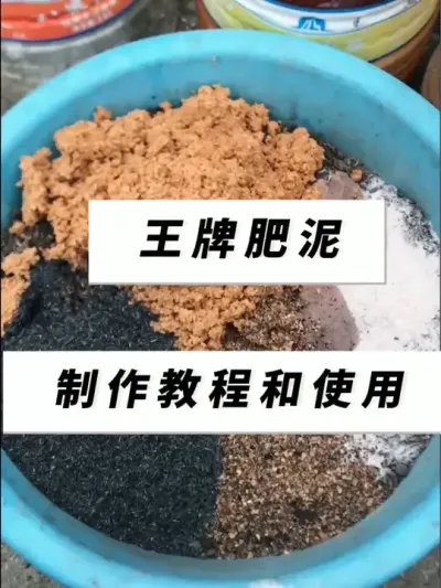 会做这款肥泥，相信你种的瓜果蔬菜也不会差！#记录我的种植生活 #种植小技巧 #自制肥料 #三农 #阳台盆栽