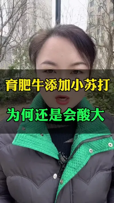 育肥牛为何老是酸大#肉牛养殖 #养殖户 #全国养牛人 #西门塔尔 #科学喂养