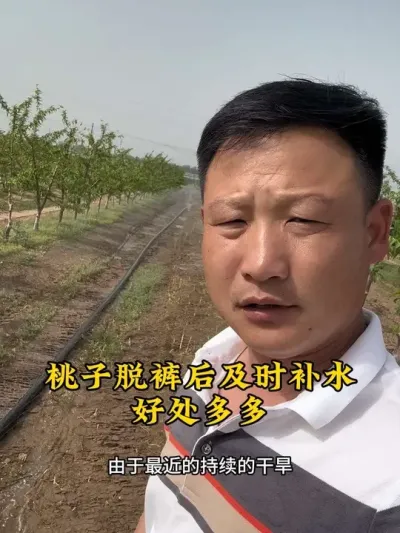 #抖音助农 #农业种植技术 #新农人计划 #果树管理 #三农服务计划 @抖音小助手 @抖音热点 @抖音创作者中心