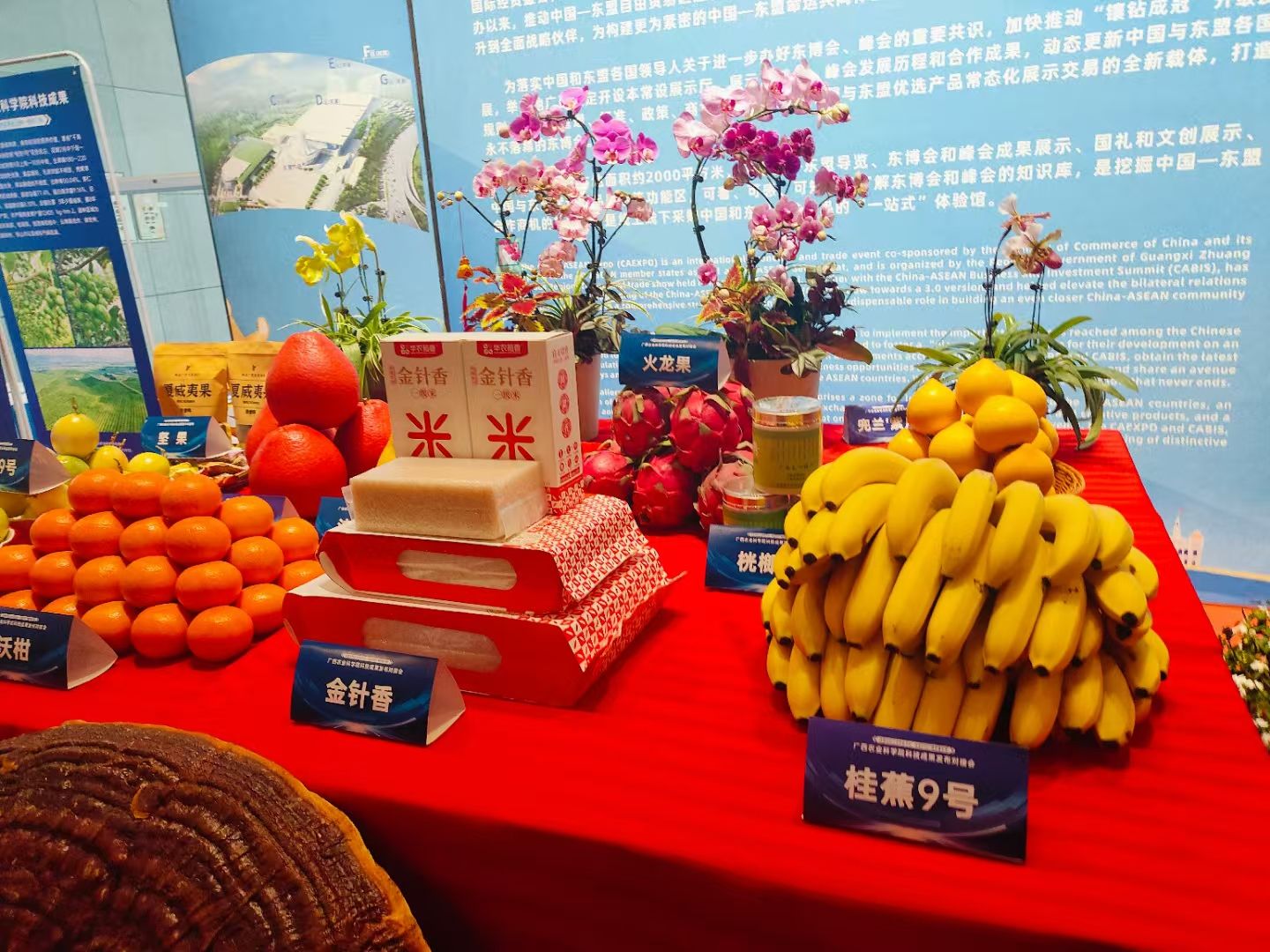 http://static.ixuenong.com/pxn/uploads/prod/thirdfile/2025/05/7efedd2950f609080433c4d931055900.jpg