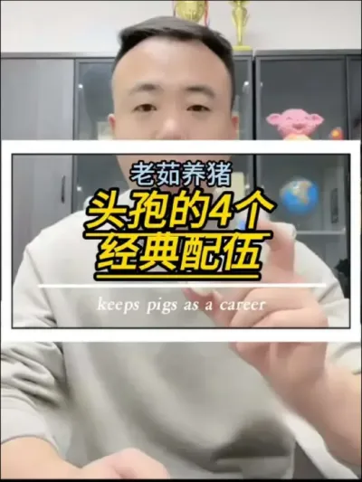 头孢噻呋钠在养猪上的四个经典搭配。#创作灵感#养猪#兽药#养猪人