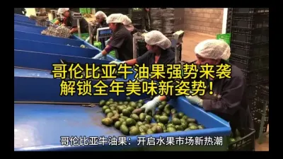 哥伦比亚牛油果强势来袭，解锁全年美味新姿势！#热点 @云食界展贸服务平台