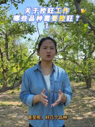 大家关心的控旺问题，分为两个视频来讲，今天说说那些品种需要控旺。#来抖音学农技 #果树种植 #梨树 #控旺 #抖音助农