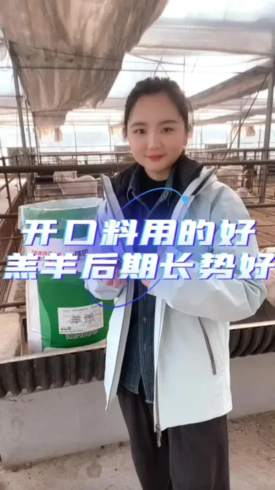 羔羊开口料#养羊知识 #养羊技术分享 #每天分享牛羊养殖小知识 #农村养羊