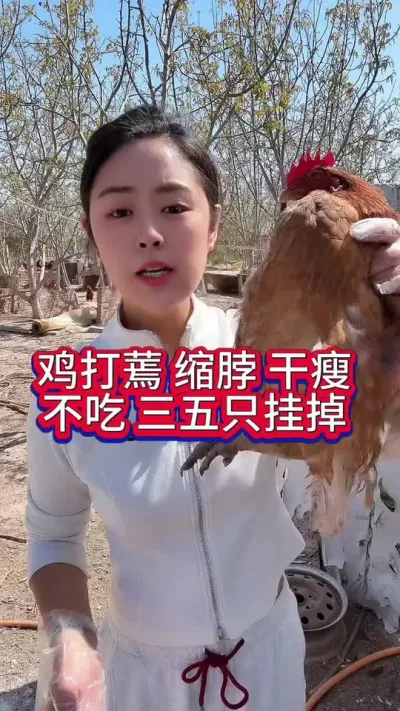 #服务三农支持三农 #抖音养鸡人 #科学养鸡 #养鸡人 #鸡鸭鹅养殖