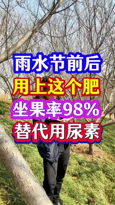 ##促花肥 #促花保果 #分享农业知识帮农民增产增收 #抖音助农 #果树种植