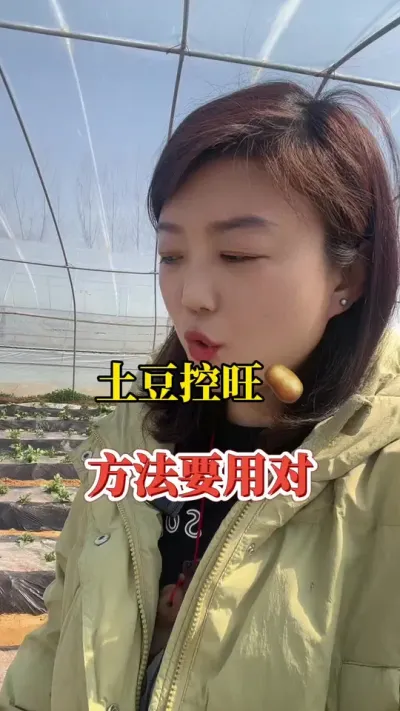 土豆控旺，方法用对了吗？#土豆 #土豆种植 @抖音小助手