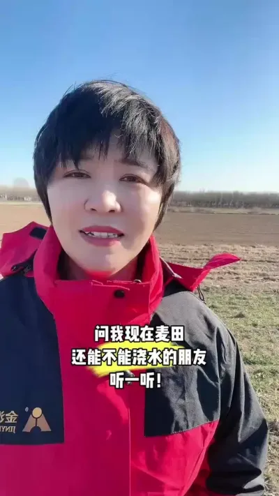 问小麦现在还能不能浇水的朋友，听一听！#田间地头走一走 #小麦 #三农