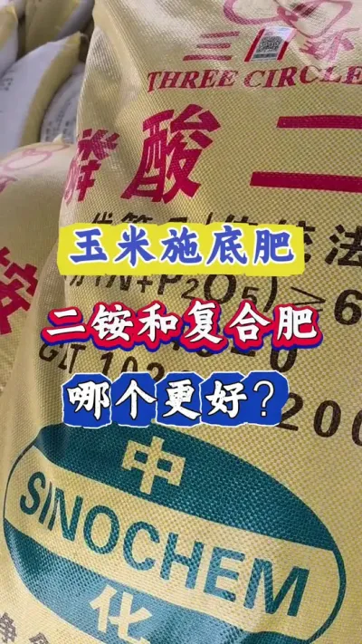 玉米施底肥，二铵尿素，复合肥，哪个更高产？#三农 #农业 #玉米种植 #玉米 #春耕
