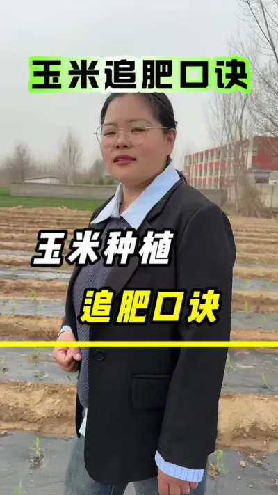 玉米种植，追肥口诀#玉米#玉米追肥 #三农 #玉米种植