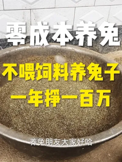 养兔技术与技术 #养兔三分靠管理七分靠技术 #每天分享养殖技术和经验 #养兔子注意事项 #科学养兔 #养兔预防管理技术教学