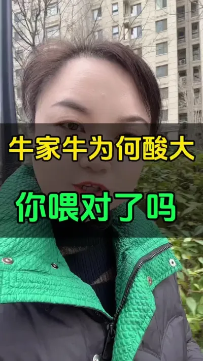 牛为何酸大，你喂对了吗？#肉牛养殖 #养殖户 #全国养牛人 #西门塔尔