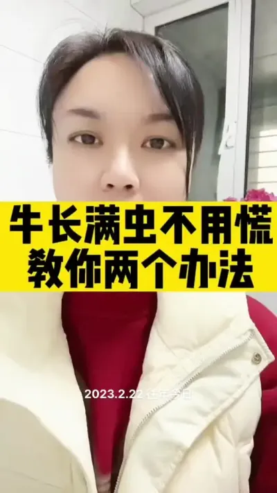 体外喷洒驱虫#肉牛养殖 #养殖户 #全国养牛人 #西门塔尔 #科学喂养