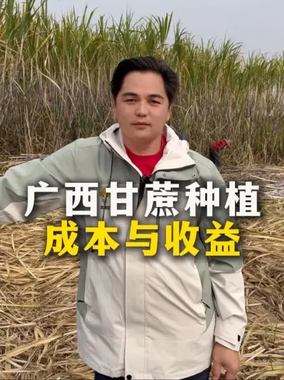 广西甘蔗种植
成本与收益#甘蔗#甘蔗种植#农业种植#种植小技巧 #三农