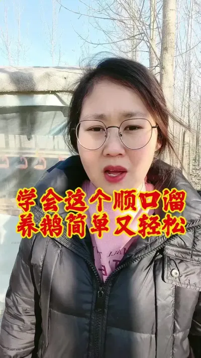 养鹅学会这个顺口溜，轻松又简单#养鹅 #养鹅人 #养鹅技术分享 #科学养鹅 #鹅