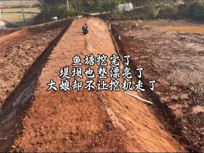 鱼塘挖完了，堤坝也整理漂亮了，大娘却不让我的挖机走了#挖掘机视频 #现场实拍 #挖鱼塘 #挖掘机工作第一视角视频