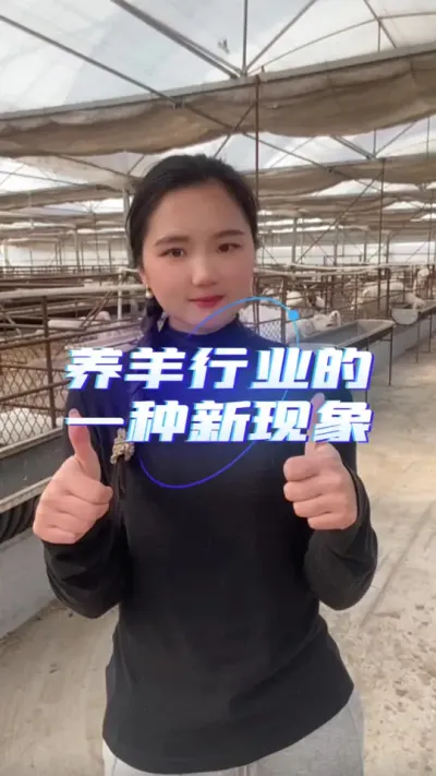 养羊行业的一种新现象#羊价行情 #养羊知识 #自繁自养 #农村创业养殖 #养羊人