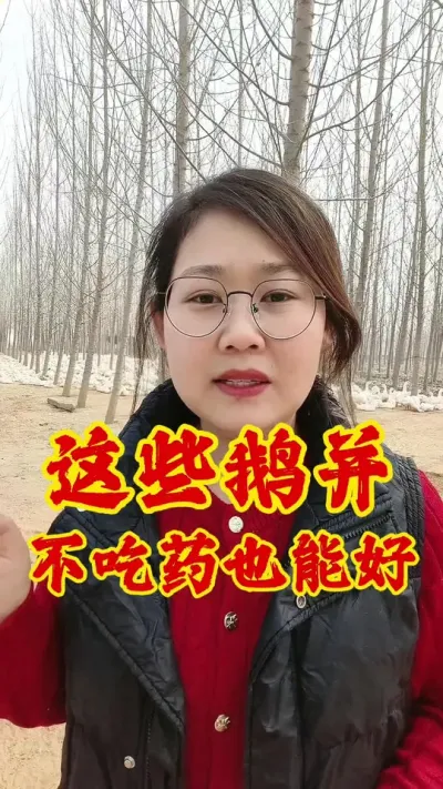 这些鹅并，不吃药也能好#养鹅 #养鹅人 #养鹅技术 #养鹅技术分享 #养鹅人加油