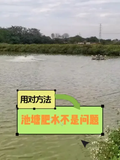 它就是全国水产人都在找的肥水好东西，拍5瓶发7瓶 #水产养殖  #鱼虾蟹养殖 #三农 #水产人 #池塘 @DOU+小助手
