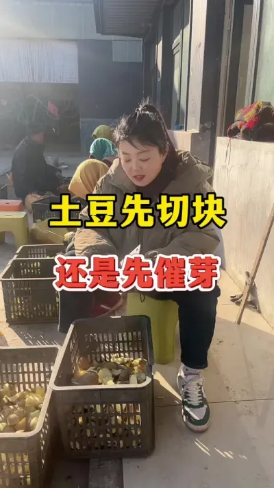 土豆种植是先切块还是先催芽#土豆高产种植 #土豆 @抖音小助手