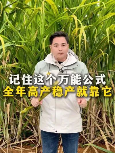 记住这个万能公式
全年高产稳产就靠它#甘蔗#甘蔗种植#农业种植#种植小技巧 #肥料