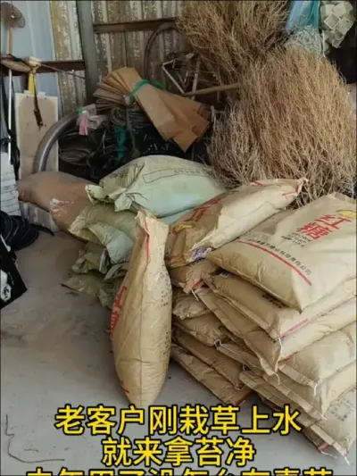 老客户去年买的很好，今年栽草上水又买了十袋 #水产养殖 #河蟹养殖 #养蟹