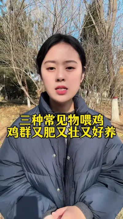 #服务三农支持三农 #科学养鸡 #家禽养殖 #养殖小妙招 #抖音养鸡人