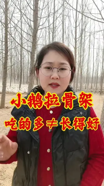 小鹅拉骨架，吃的多不等于长得好#养鹅 #鹅 #养鹅人 #养鹅技术分享 #养鹅技术