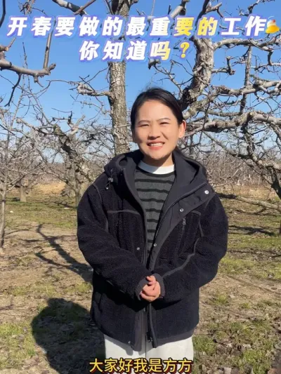 开春要做的最重要的工作是什么？ 每年都要说的一个问题，今年再来复习一遍，梨树修剪的工作还在进行，我们联系了一位修剪经验丰富的师傅，大概一周左右回来，到时候在给大家拍学习的视频素材。#来抖音学农技 #梨