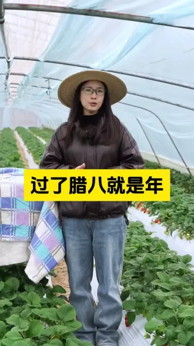 过了腊八就是年，莓友们，今年种草莓回本了吗？#农业技术推广 #草莓种植管理技术和方法 #农业种植 #过了腊八就是年 #启明大师姐