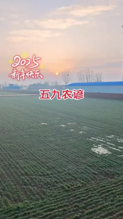 五九农谚预测未来天气看看准不准#五九 #服务三农 #田间地头 #农业种植技术 #麦田
