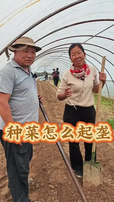 种菜怎么起垄 种菜怎么起垄#蔬菜种植 #每天分享蔬菜种植技巧 #生菜杨姐