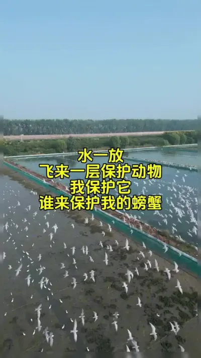 这一层保护动物怎么办 #水产养殖 #鱼虾蟹养殖 #特种水产养殖 @抖加🔥上热门🔥dou+🔥热点宝