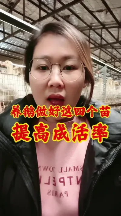 养鹅做好这四个苗，提高成活率#养鹅技术分享 #鹅 #养鹅人 #养鹅 #三农